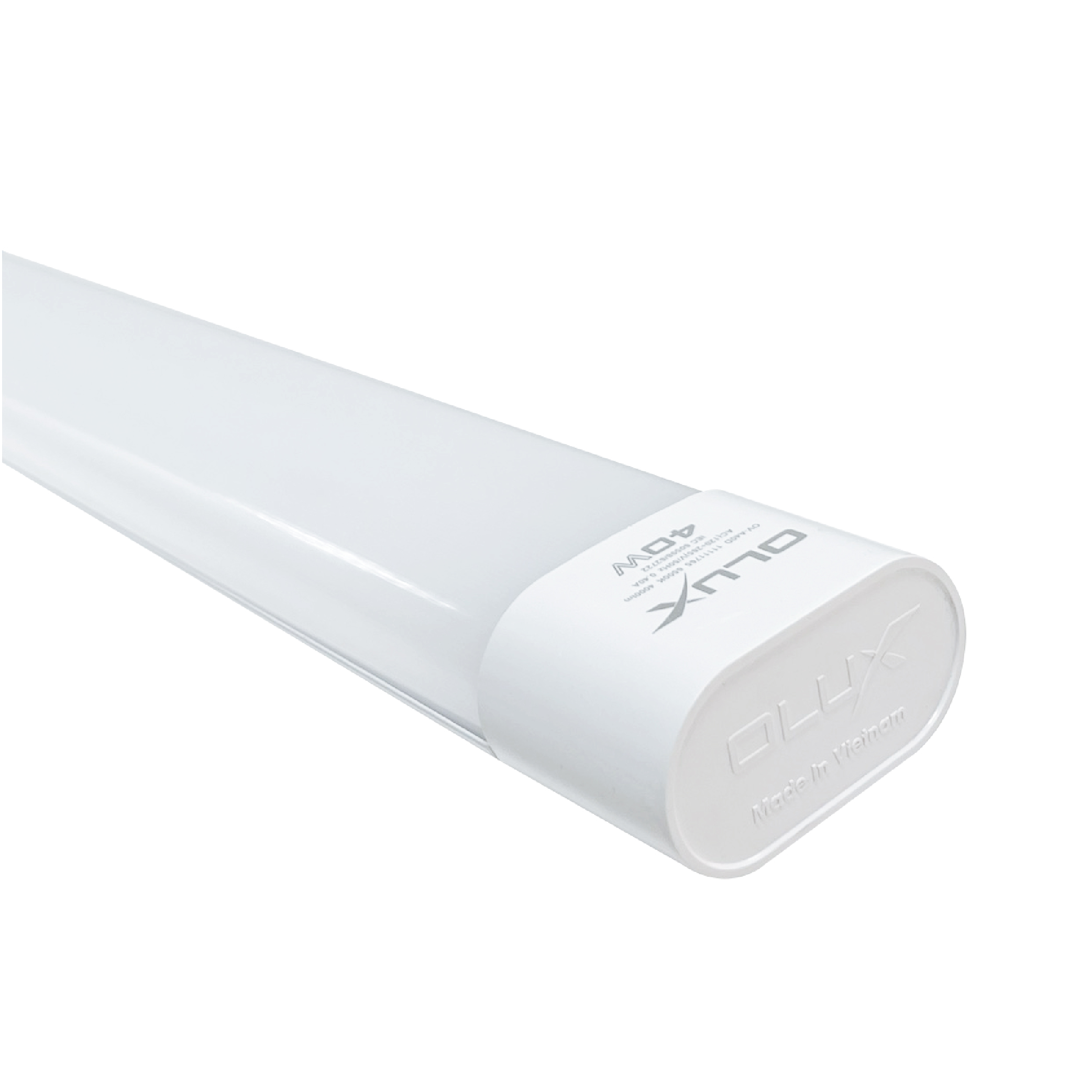 ĐÈN LED OVAL